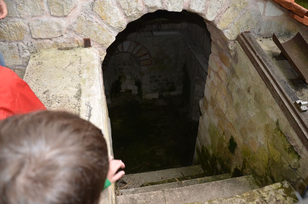 Une cave avec amphore (Romains) et tonneau (Gaulois)