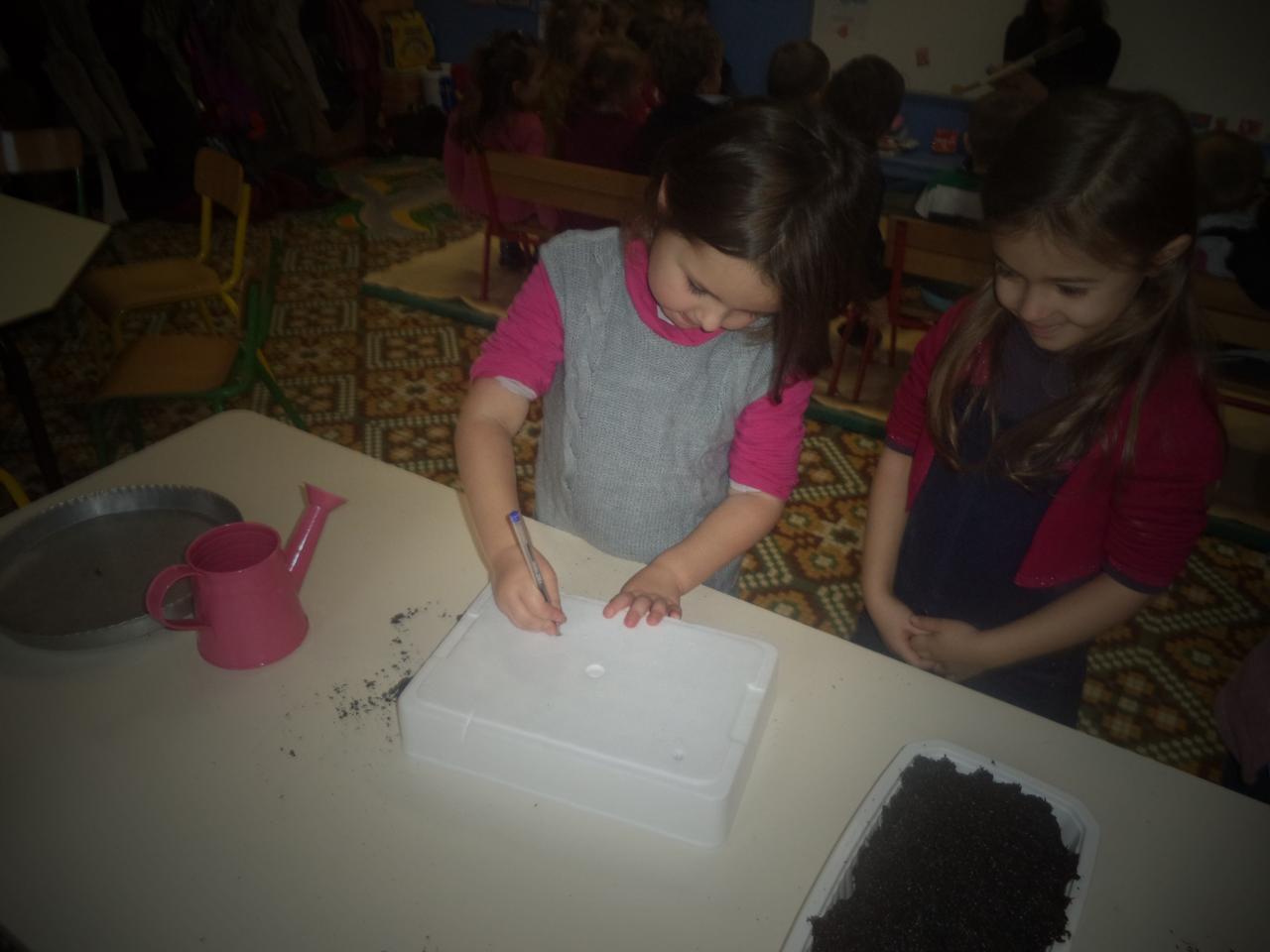 DSC00508