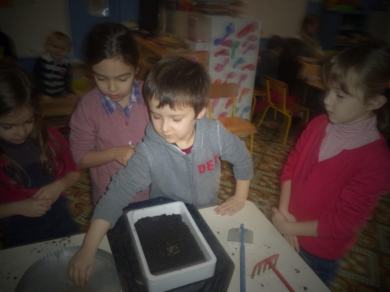 DSC00511