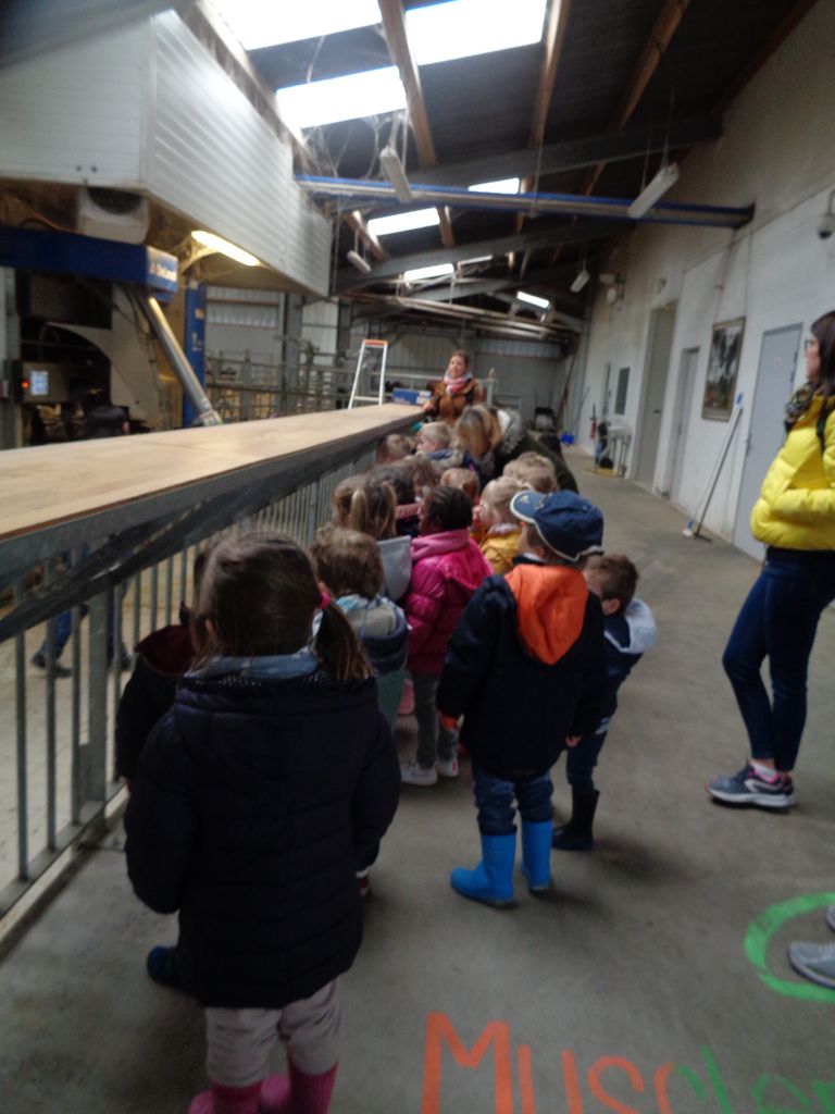 A la ferme pédagogique