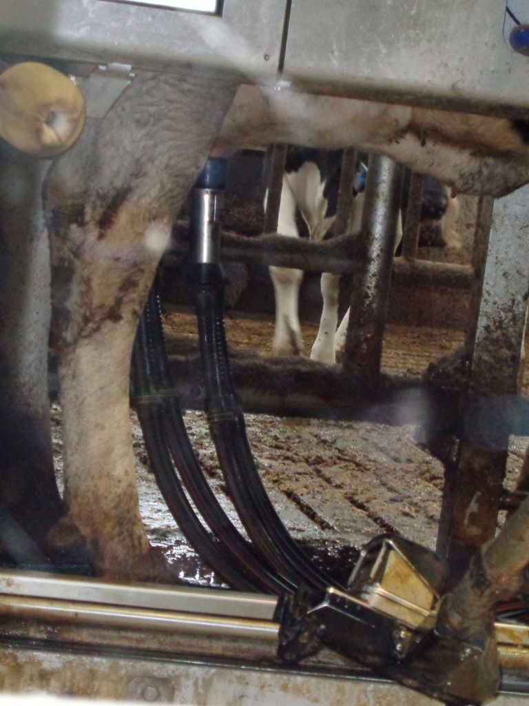 A la ferme pédagogique