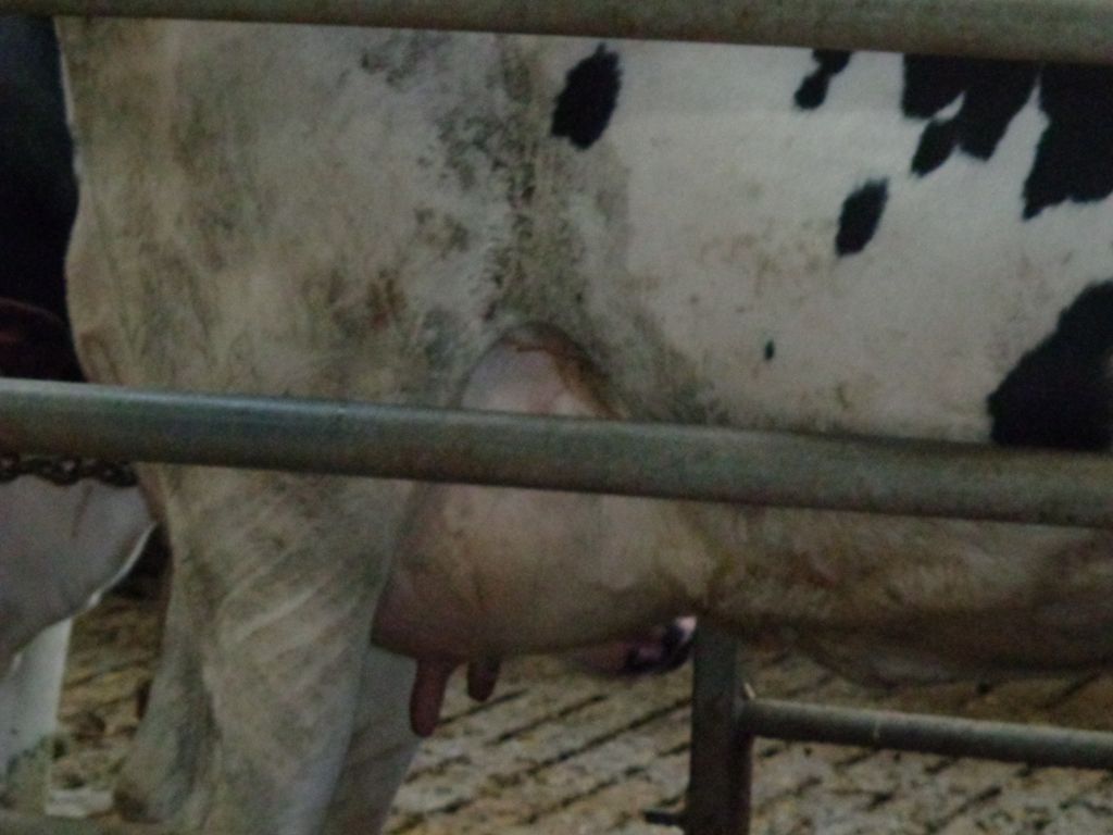 A la ferme pédagogique