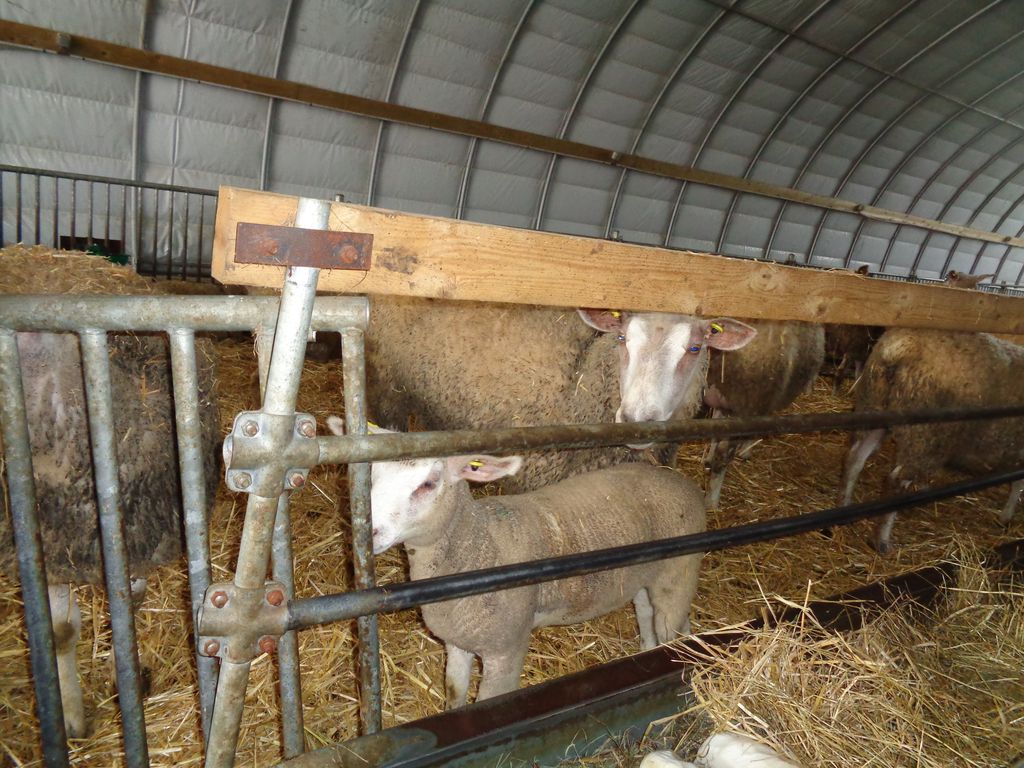 A la ferme pédagogique