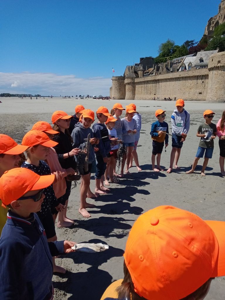 St Malo