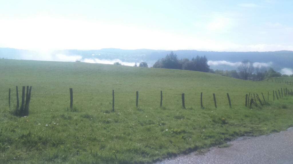 mms_img-1041067094[1]