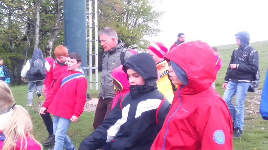 mms_img-2034208326