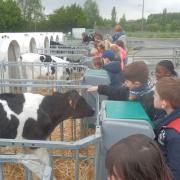 La ferme pédagogique