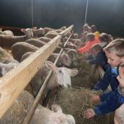 La ferme pédagogique