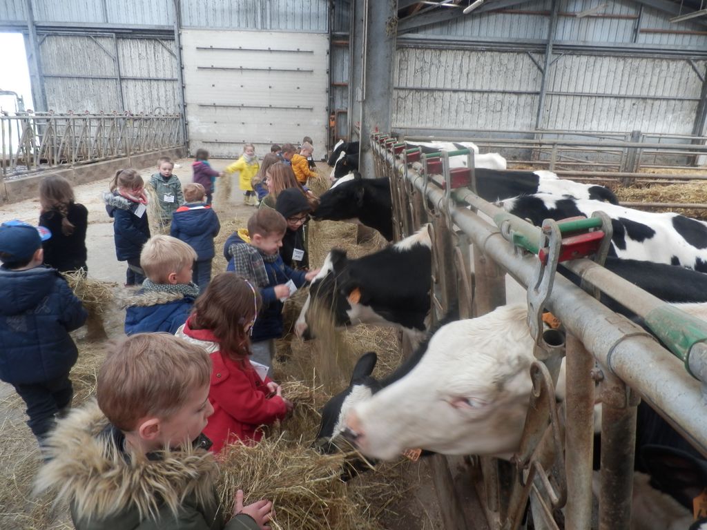 La ferme pédagogique