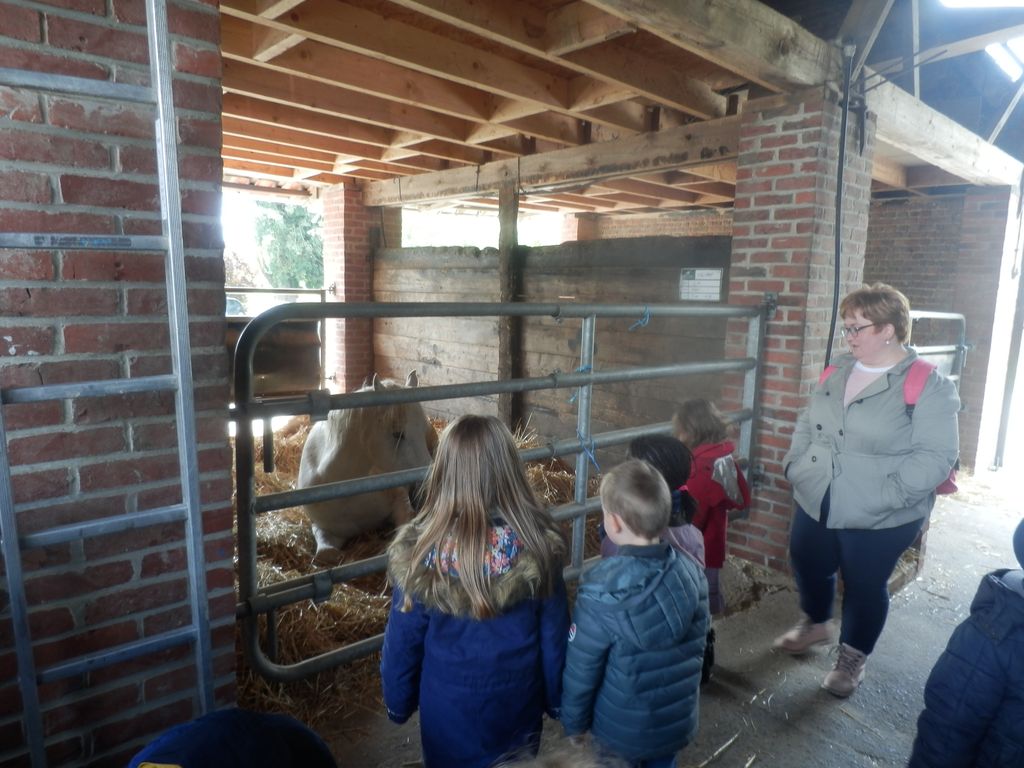 La ferme pédagogique